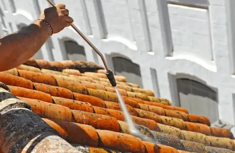 Nettoyage de toitures - Salaise-sur-Sanne